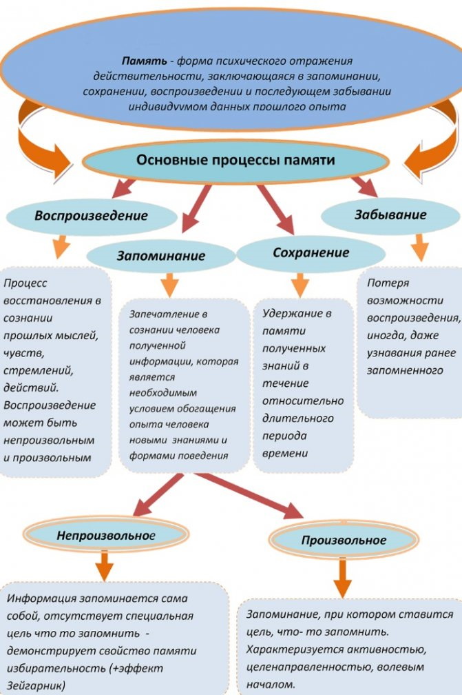 Что значит оперативная память у человека