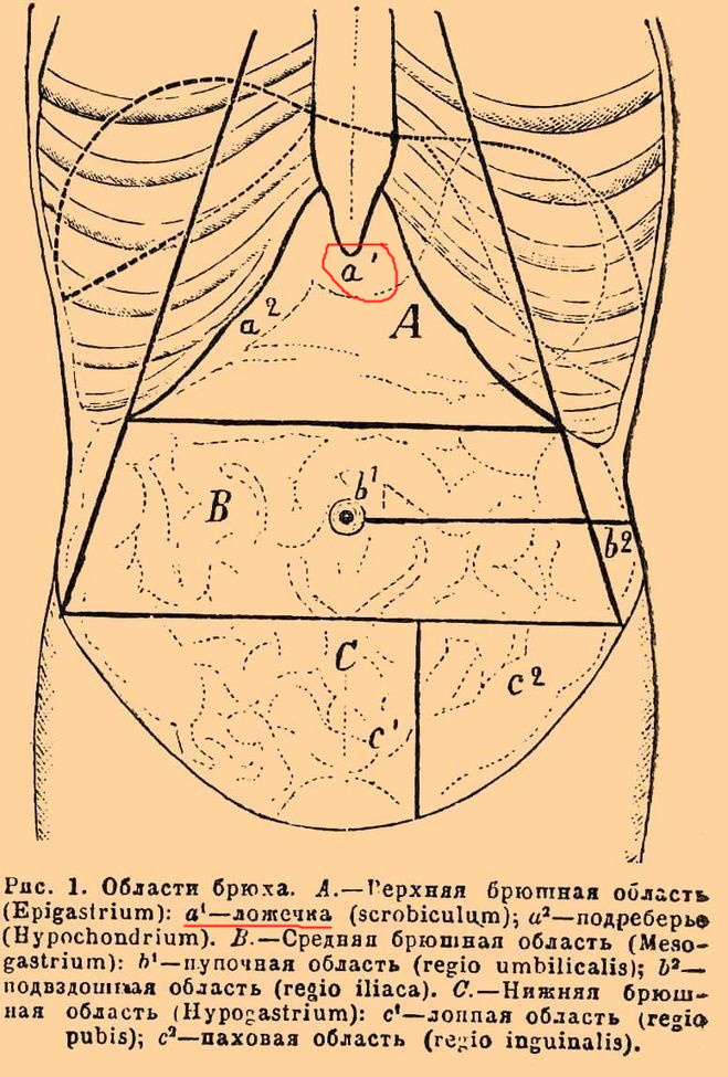 Под ложечкой боль. Это где, фото, признаки, лечение