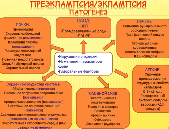 Преэклампсия беременных. Что это такое, симптомы, влияние на плод