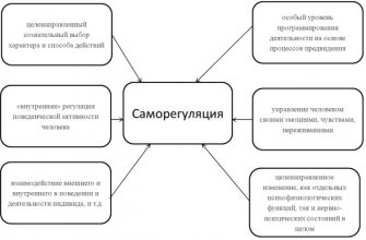 Саморегуляция организма картинки