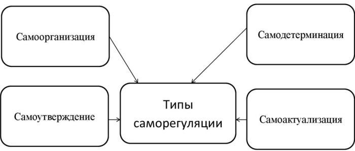 Саморегуляция в психологии это. Определение психической, произвольной, виды