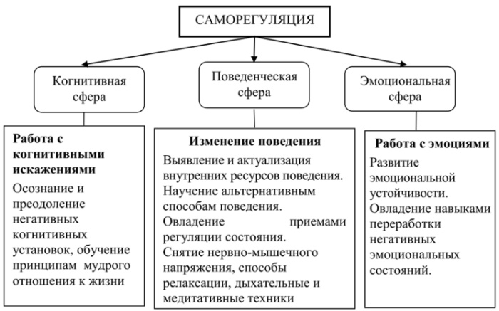 Саморегуляция в психологии это. Определение психической, произвольной, виды