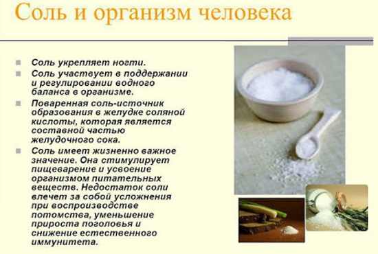 Соль. Польза и вред для организма человека