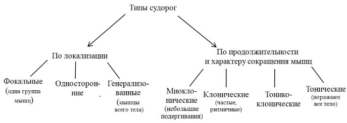 Спазмы мышц ног. Причины и лечение, симптомы