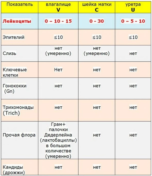 Стафилококк эпидермальный в мазке у женщин. Норма, лечение