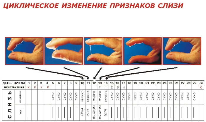 Выделения у женщин по дням цикла. Норма и отклонения, нормальные и ненормальные