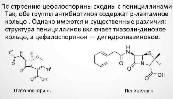 Антибиотики цефалоспоринового ряда. Список препаратов