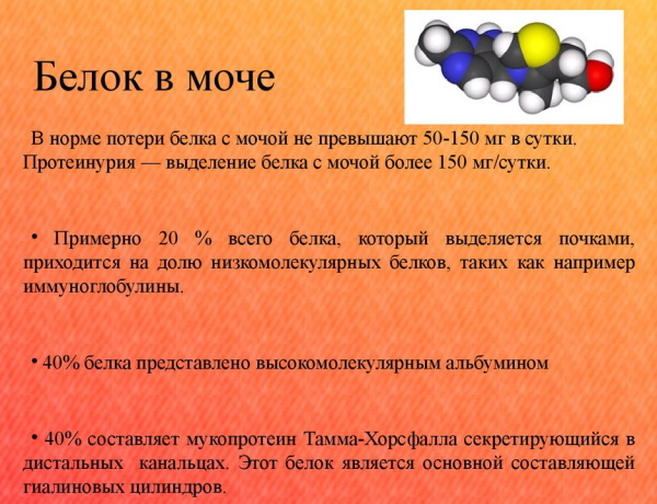 Белок в моче у ребенка. Что это значит, норма, повышен, причины