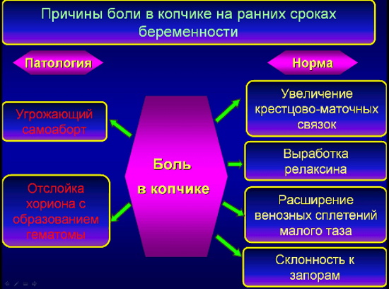 Болит копчик при беременности в 1-2-3 триместре. Причины, что делать