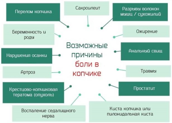 Болит копчик при беременности в 1-2-3 триместре. Причины, что делать