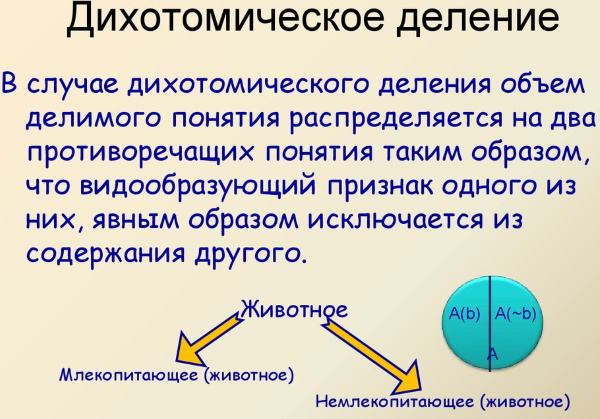 Дихотомия в психологии. Что это такое, определение, примеры