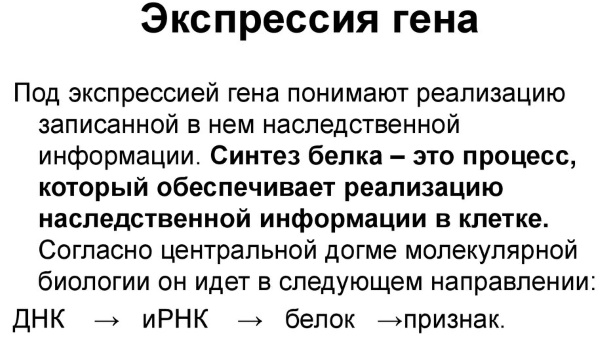 Экспрессия в психологии. Что это, определение эмоциональная, вербальная