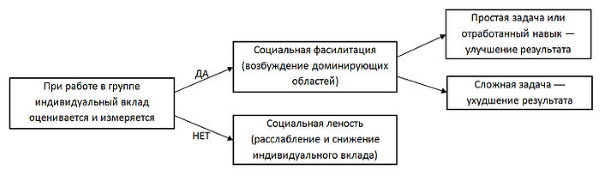 Ингибиция в психологии. Что это, определение, примеры