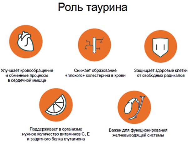 Лучшие энергетики для бодрости, энергии, от сна в дорогу