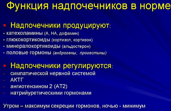 Надпочечники у человека. Где находятся, фото, функции, как болят