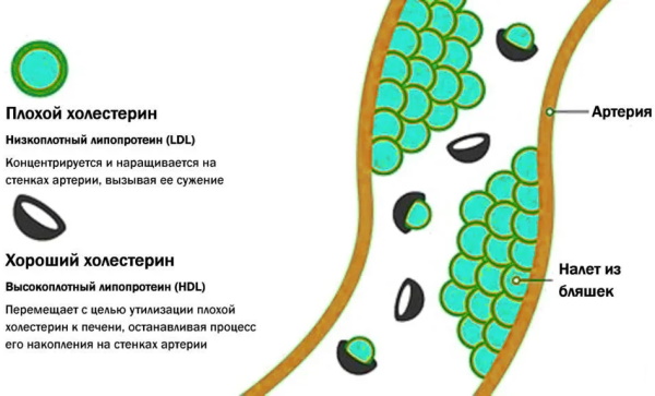 Розувастатин, аналоги и заменители препарата. Отзывы