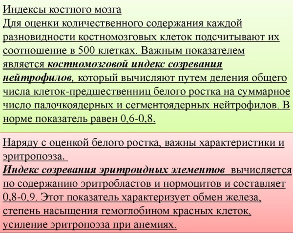 Стернальная пункция. Что это, проводится при диагностике чего, алгоритм