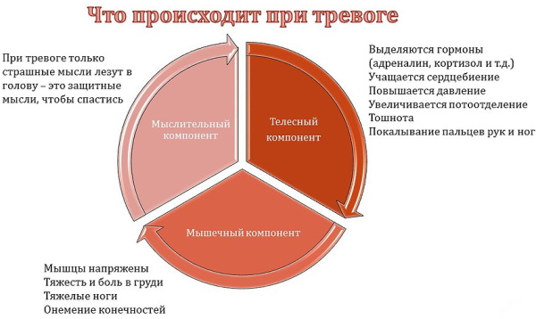 Тревога в психологии. Что это такое, виды, как избавиться