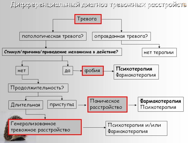 Тревога в психологии. Что это такое, виды, как избавиться