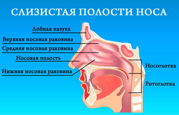 Увлажняющие капли для носа взрослым недорогие без привыкания