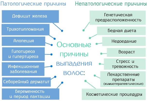 Аминексил от выпадения волос для женщин. Отзывы