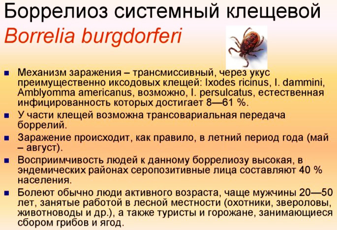 Анализ крови на боррелиоз. Когда сдавать после укуса клеща, цена, расшифровка