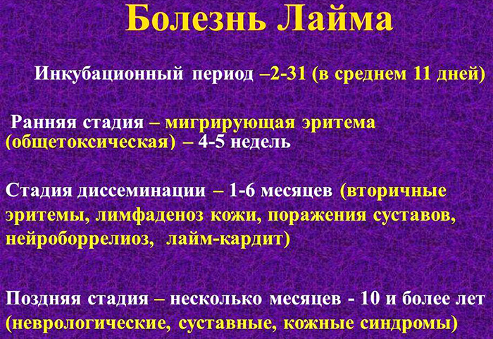 Анализ крови на боррелиоз. Когда сдавать после укуса клеща, цена, расшифровка