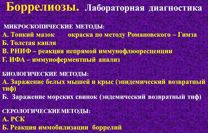 Анализ крови на боррелиоз. Когда сдавать после укуса клеща, цена, расшифровка