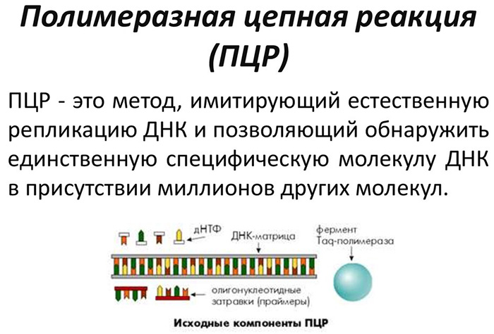 Анализ крови на боррелиоз. Когда сдавать после укуса клеща, цена, расшифровка