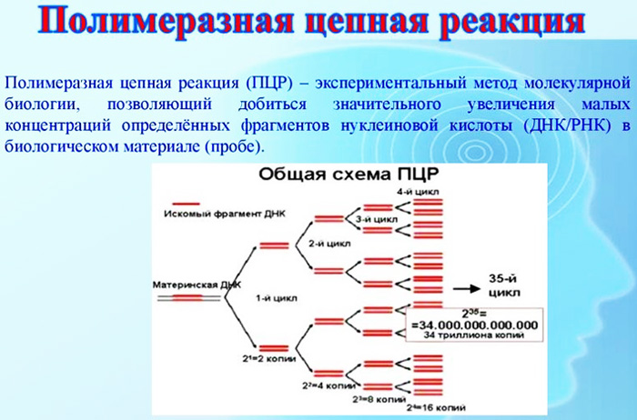 Анализ на тромбофилию. Как называется, что это такое, цена, как сдавать