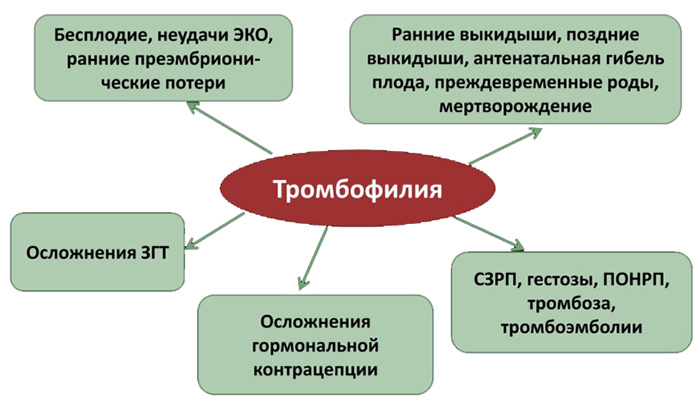 Анализ на тромбофилию. Как называется, что это такое, цена, как сдавать