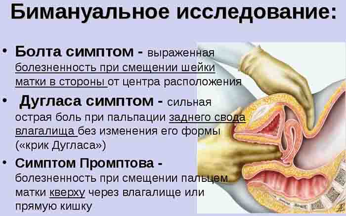 Бимануальное исследование в гинекологии. Что это такое, описание, алгоритм действий, техника