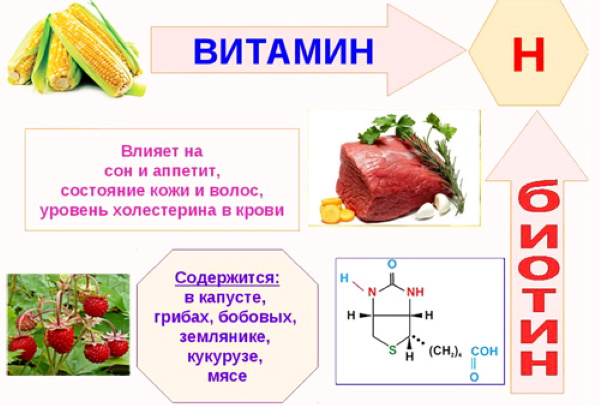 Лютеин для глаз. Польза и вред, цена, отзывы