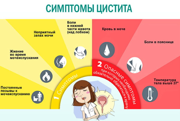 ОАМ норма у женщин. Таблица по возрасту, расшифровка