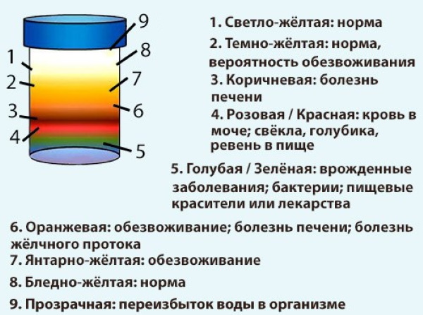 ОАМ норма у женщин. Таблица по возрасту, расшифровка