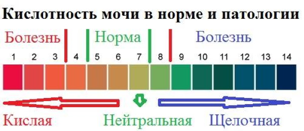 ОАМ норма у женщин. Таблица по возрасту, расшифровка