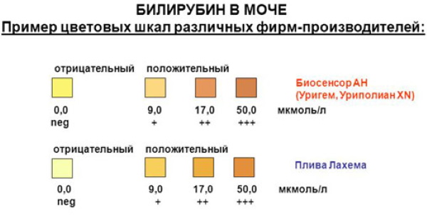 ОАМ норма у женщин. Таблица по возрасту, расшифровка