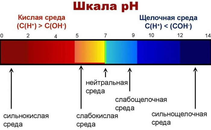 Ph крови человека. Норма, что это такое, как определить