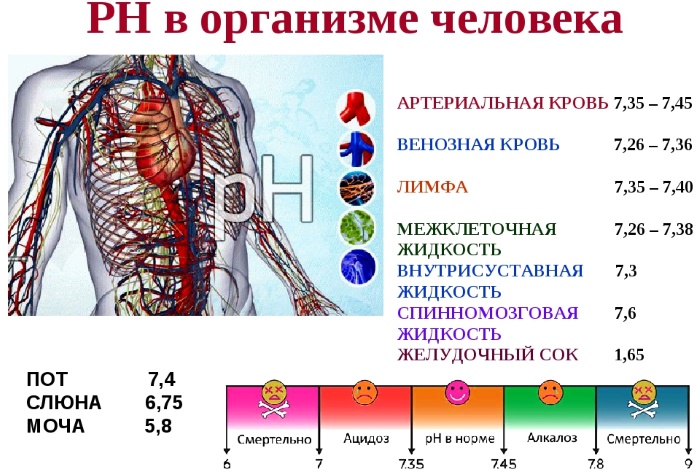 Ph крови человека. Норма, что это такое, как определить