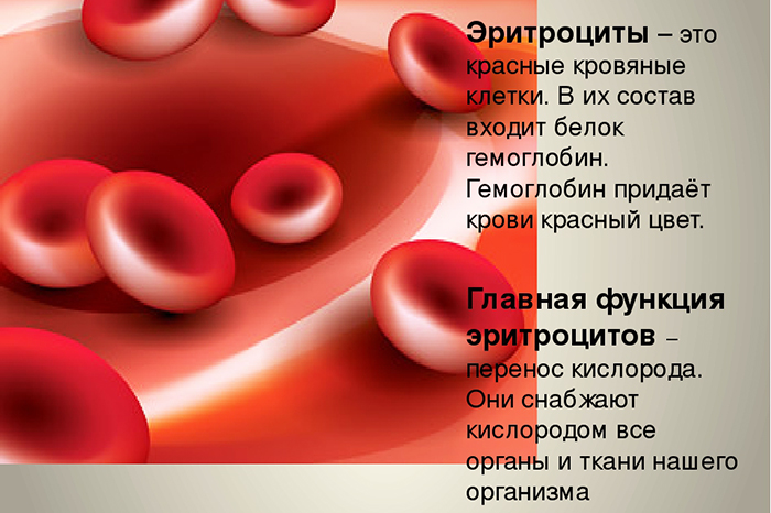 Венозная кровь. Где течет, норма цвет, глюкоза, сахар, почему темная, застой