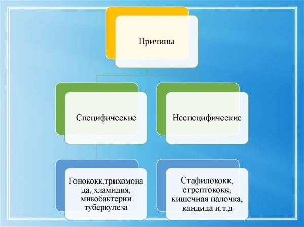 Воспаление маточных труб. Симптомы и лечение, последствия