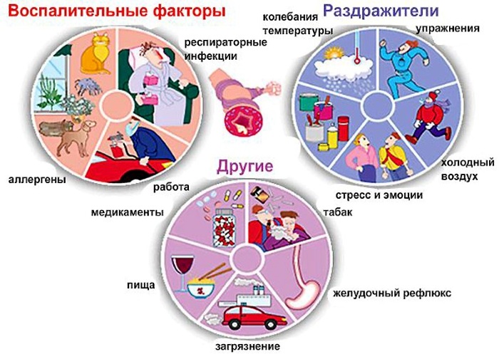 Астма у взрослых. Симптомы, как начинается, причины, лечение