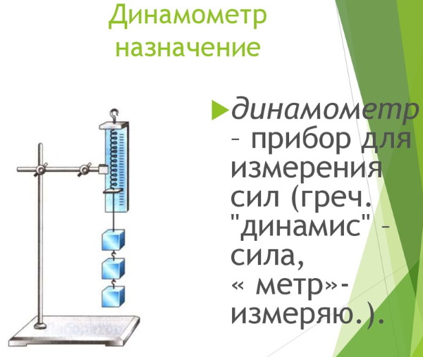 Динамометр. Что это, оборудование для измерения показателей силы, физической подготовленности