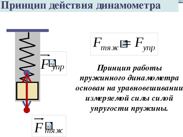 Динамометр. Что это, оборудование для измерения показателей силы, физической подготовленности