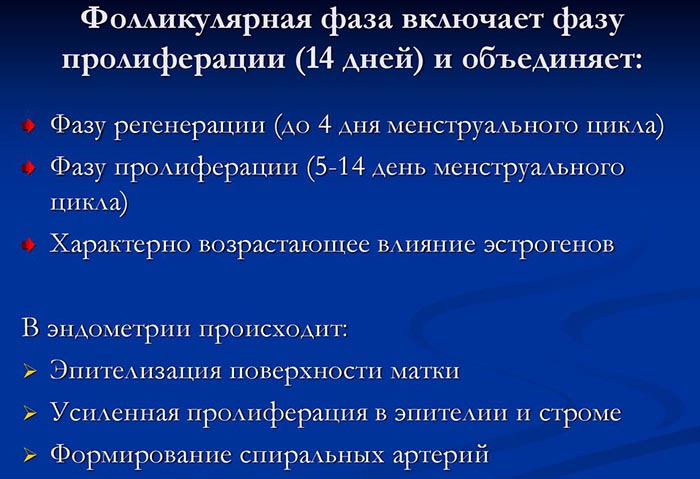 Фолликулярная фаза у женщин. Что это такое, что значит, какой день цикла