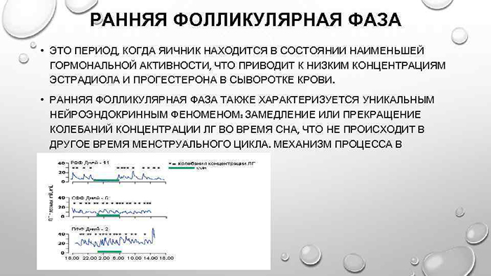 Фолликулярная фаза у женщин. Что это такое, что значит, какой день цикла