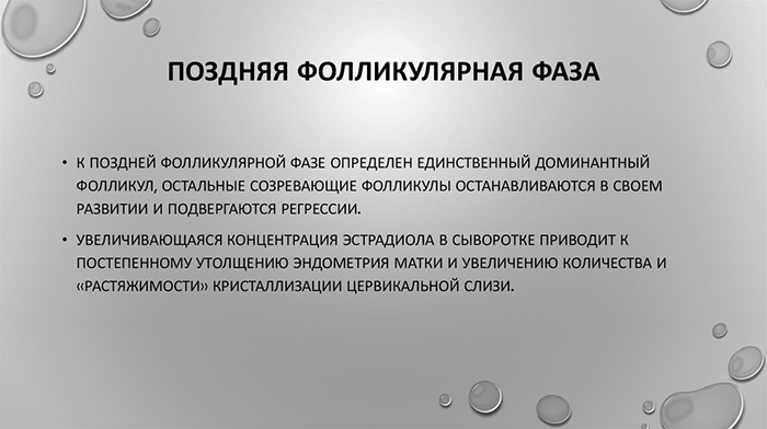 Фолликулярная фаза у женщин. Что это такое, что значит, какой день цикла