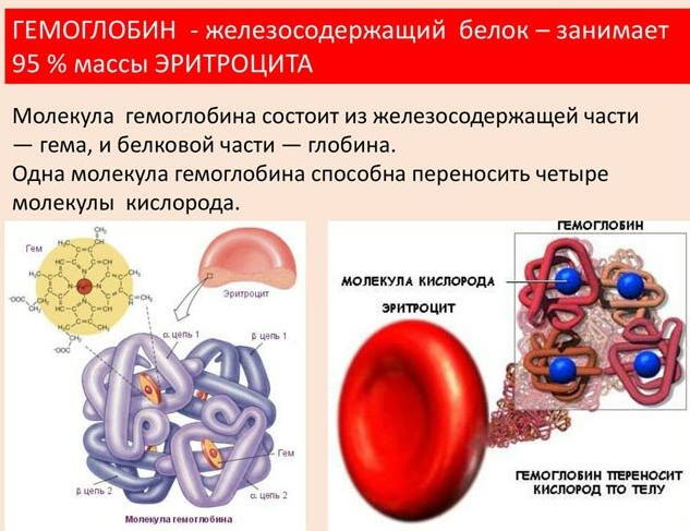 Гемоглобин 114 у женщины. Что это значит, норма или нет