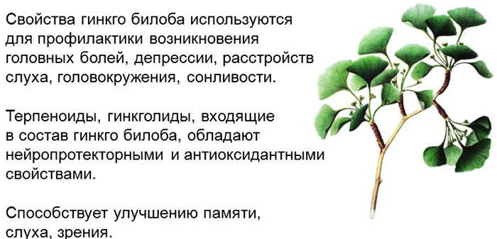 Как уменьшить тромбоциты в крови у взрослого народными средствами