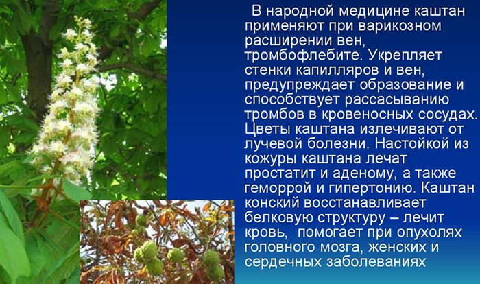 Как уменьшить тромбоциты в крови у взрослого народными средствами